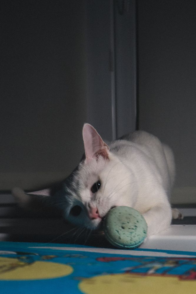 Фотография автора Юлия Гантимурова