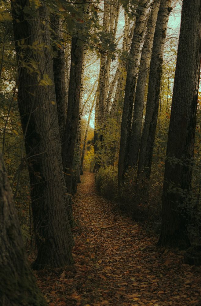 Photograph by Баскакова Алиса