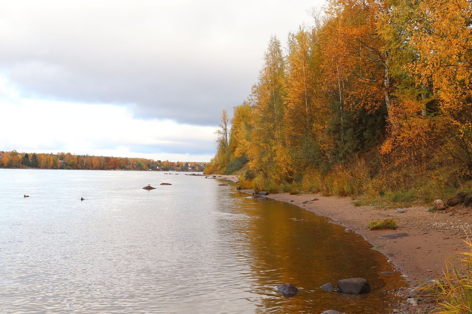Photo #9705426