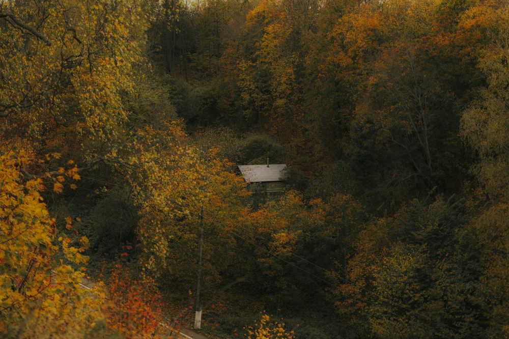 Photograph by Баскакова Алиса