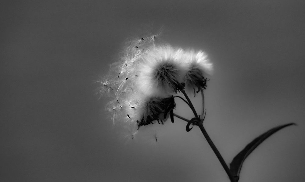 Photograph by Анна Чадова