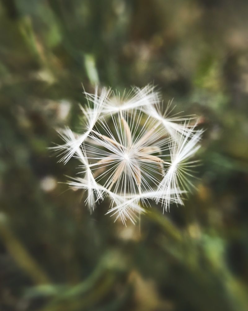 Фотография автора Анна Морозова