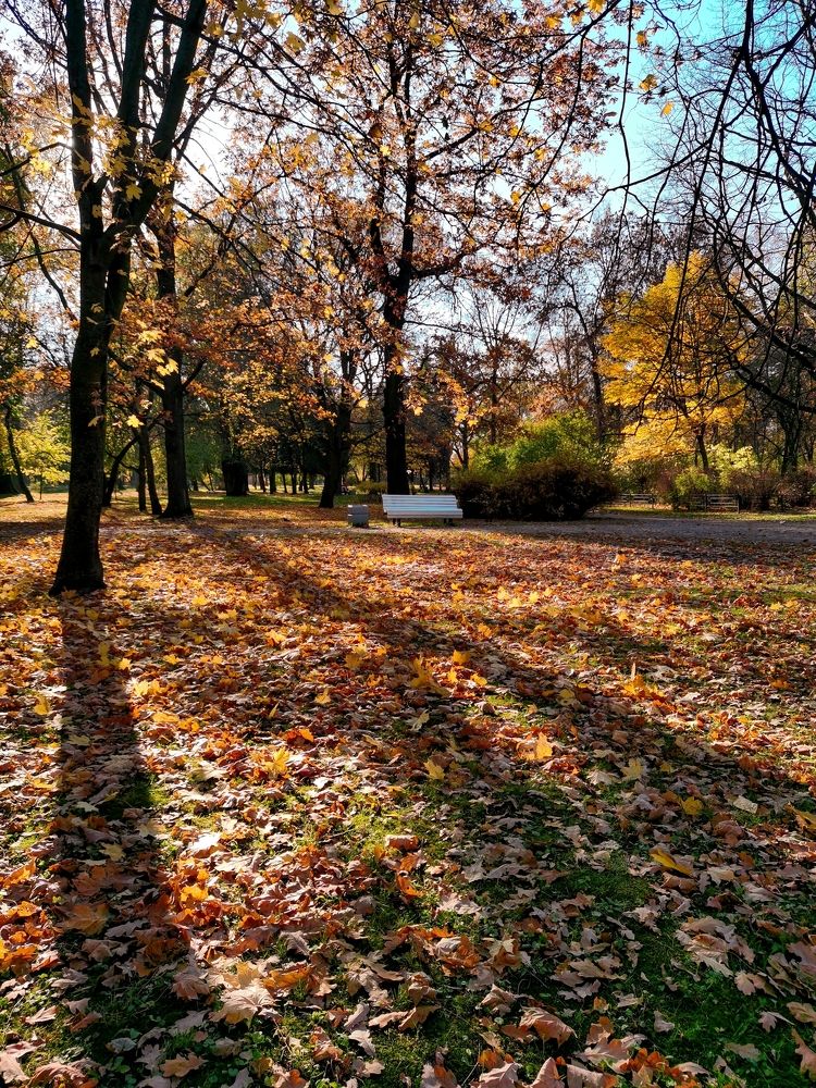 Photograph by Виктория Федосеенко