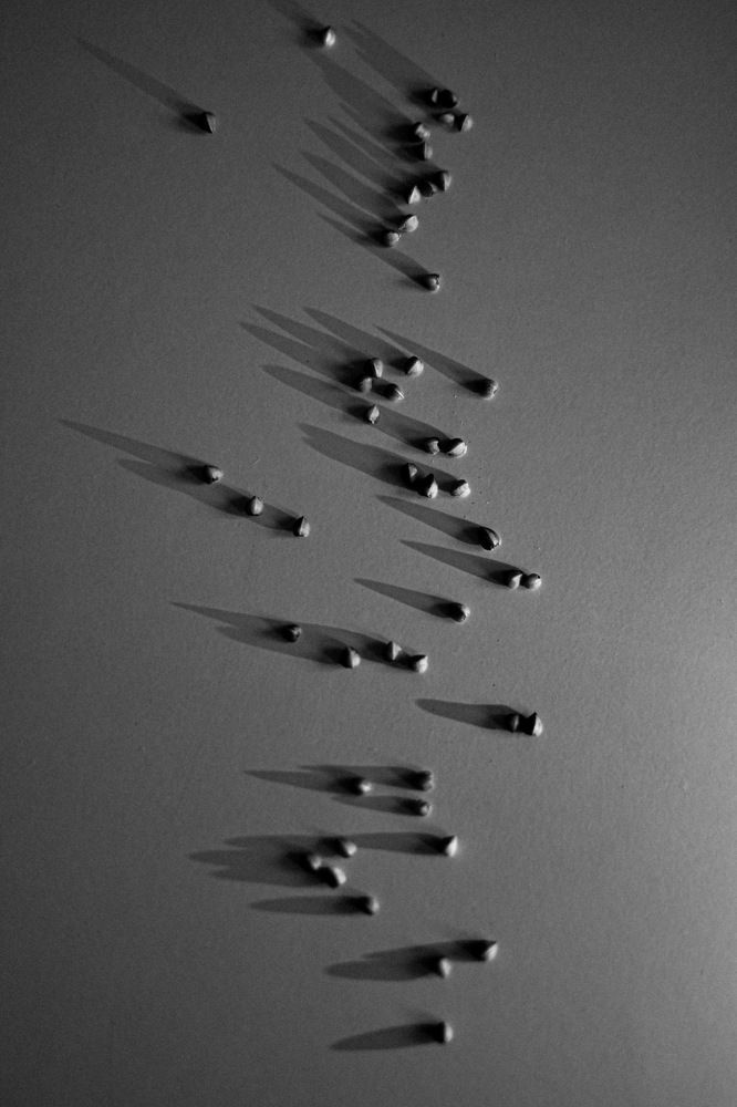 Photograph by Светлана Полушкина