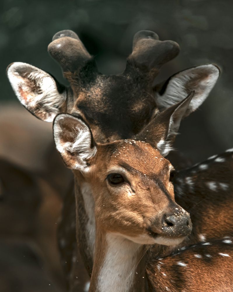 Photograph by Jemy Jose Mathew