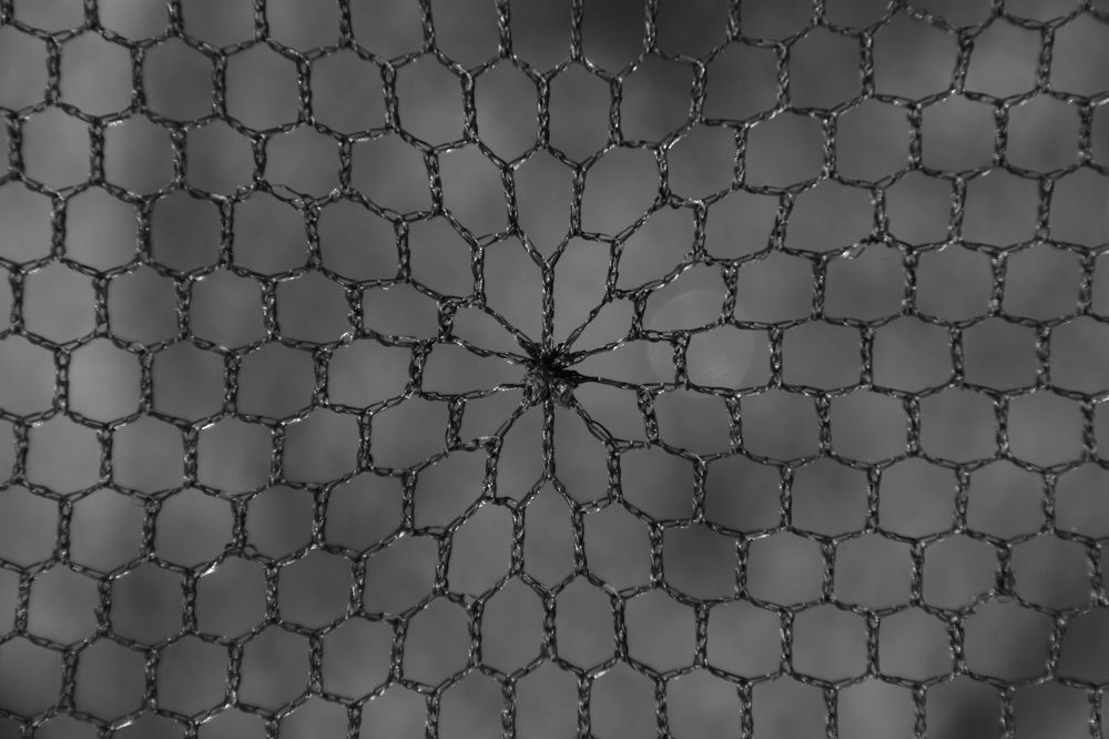 Фотография автора Анастасия Зверева