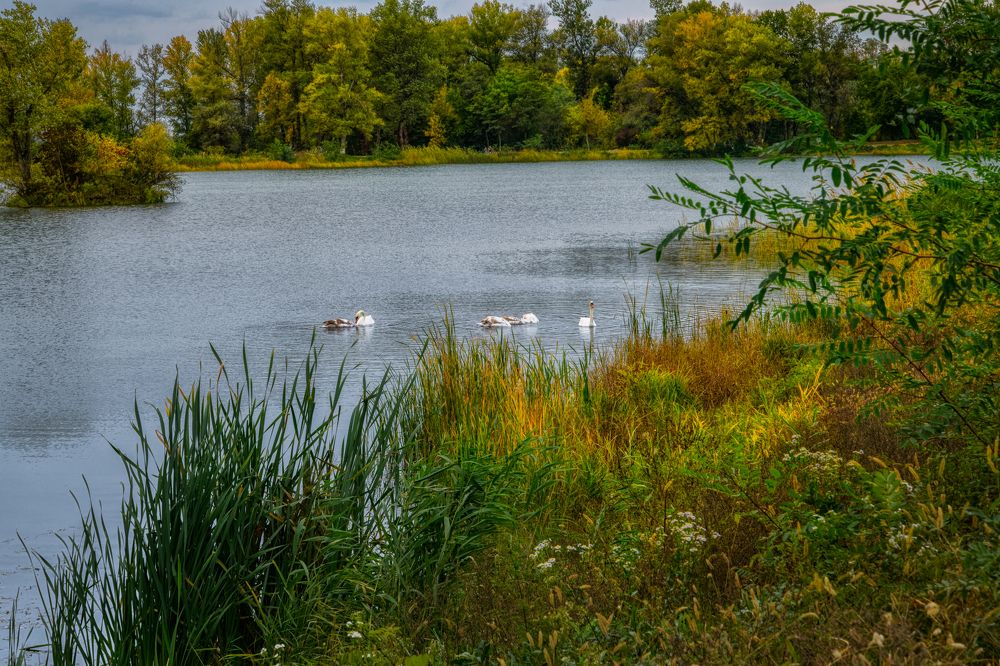 Photograph by Владимир Кваша