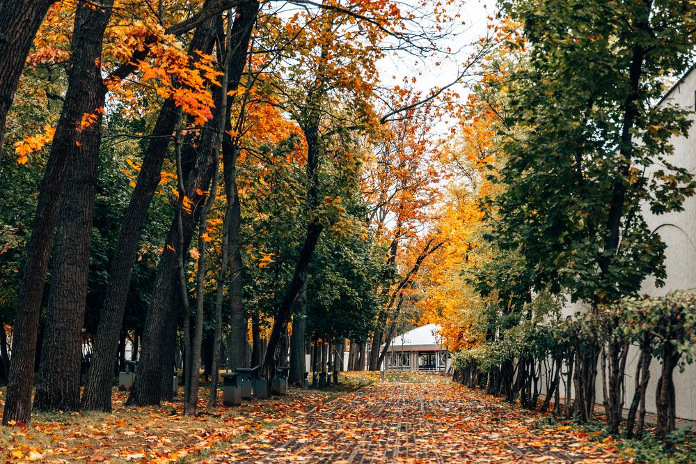 Photograph by Alexey Nikitin