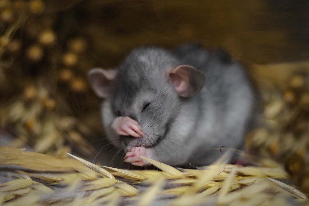 Photograph by Виктория   Никонова