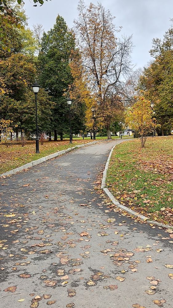 Фотография автора Кира Полотовская