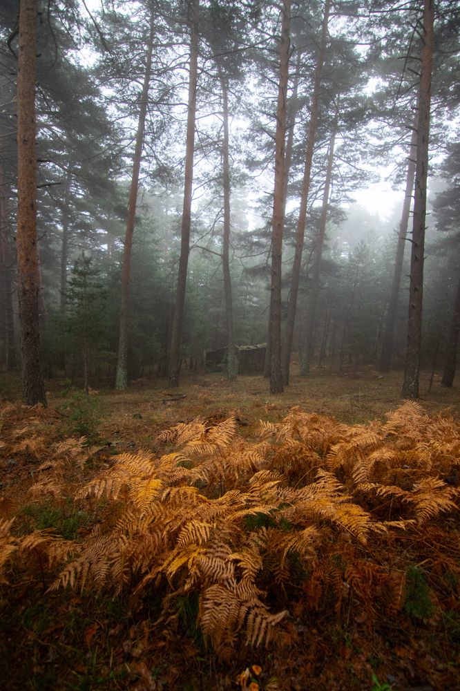 Фотография автора Sandra