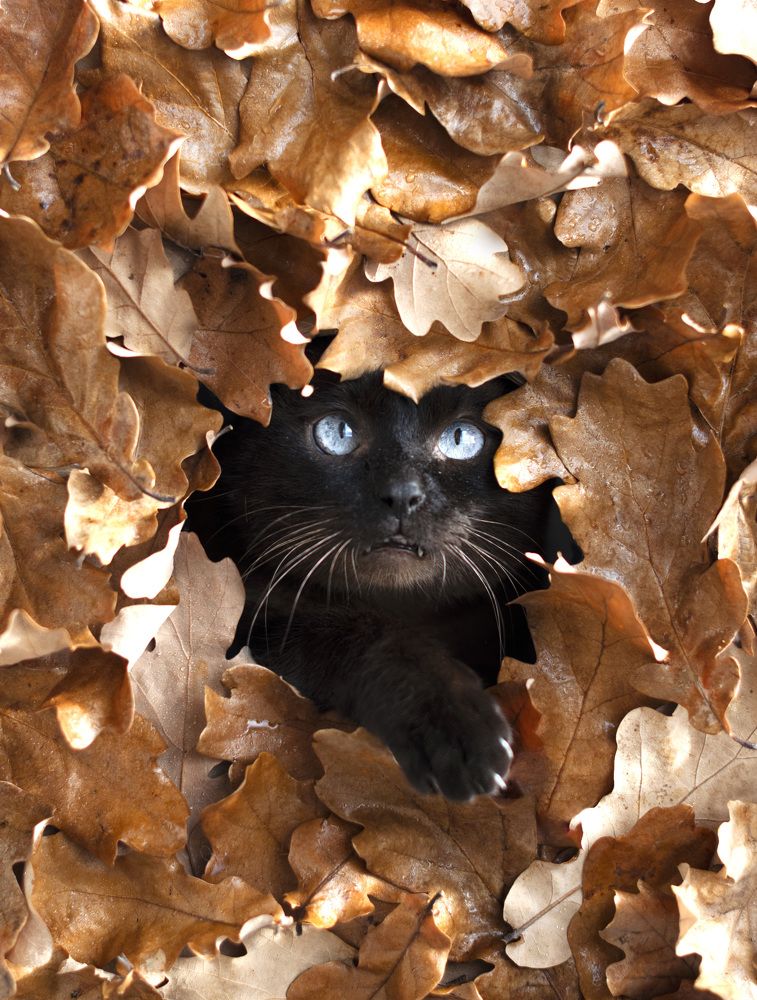 Photograph by Мария Карышева