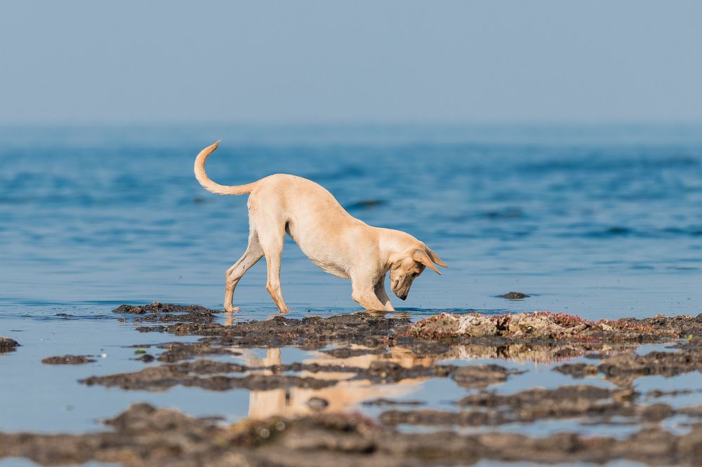 Photograph by Abel Cancino Gutierrez