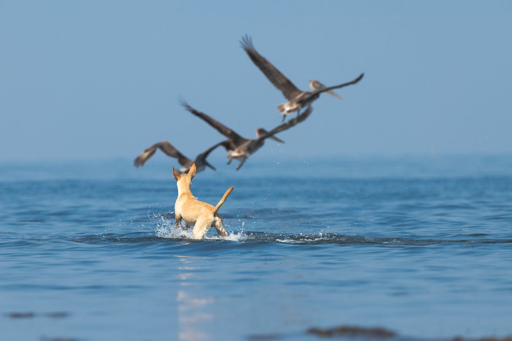 Photograph by Abel Cancino Gutierrez