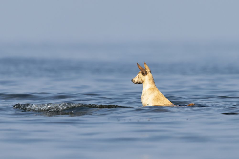 Photograph by Abel Cancino Gutierrez