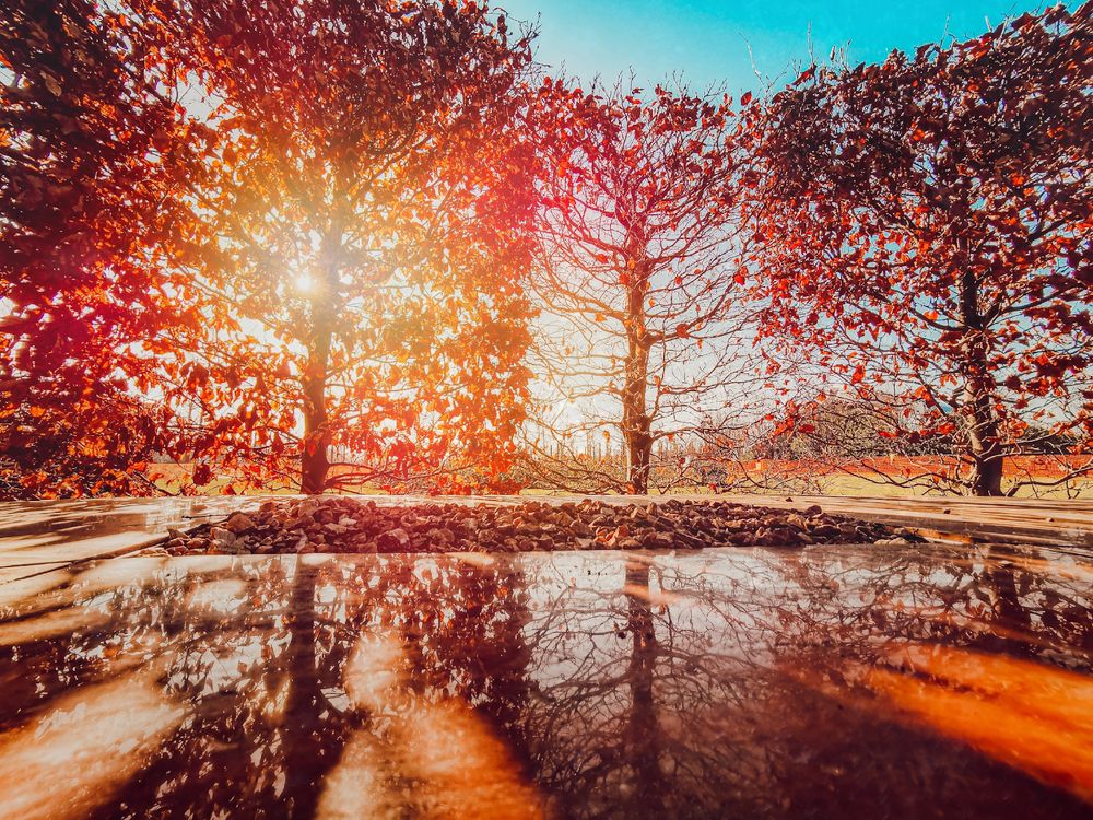 Photograph by Анастасия Белогурова