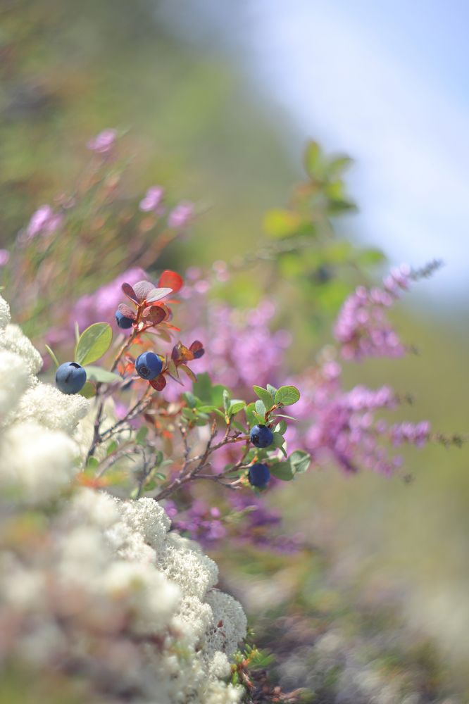 Photograph by Евгения Земскова