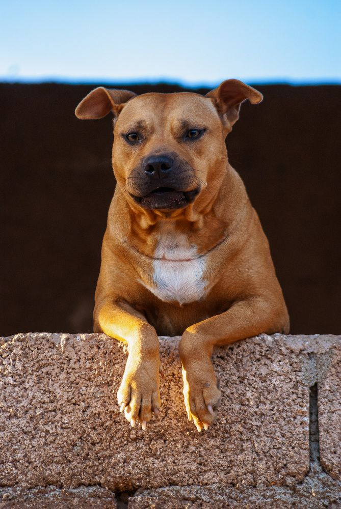 Photograph by Abel Cancino Gutierrez