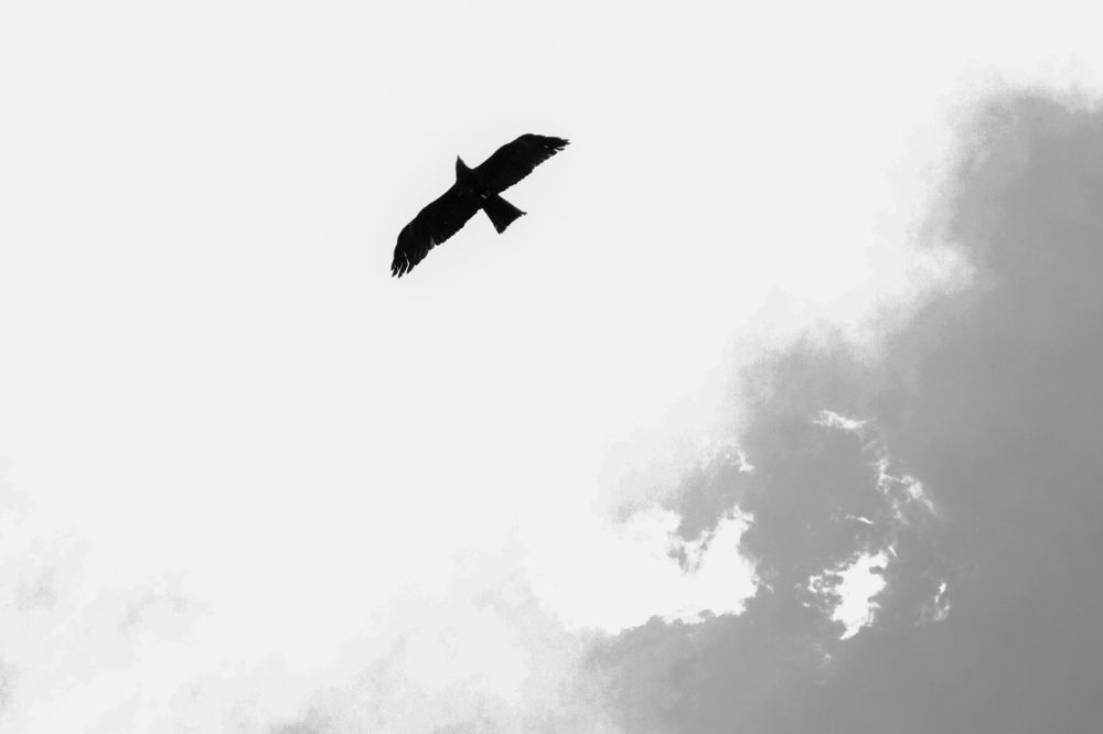 Фотография автора sachin gaurav