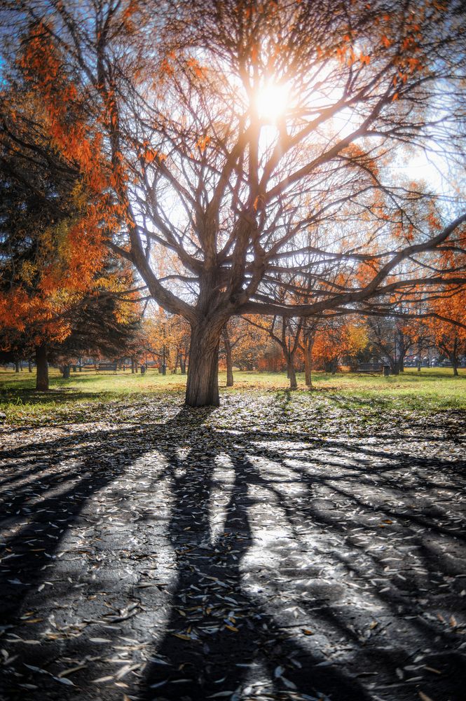 Photograph by Кирилл Богомазов