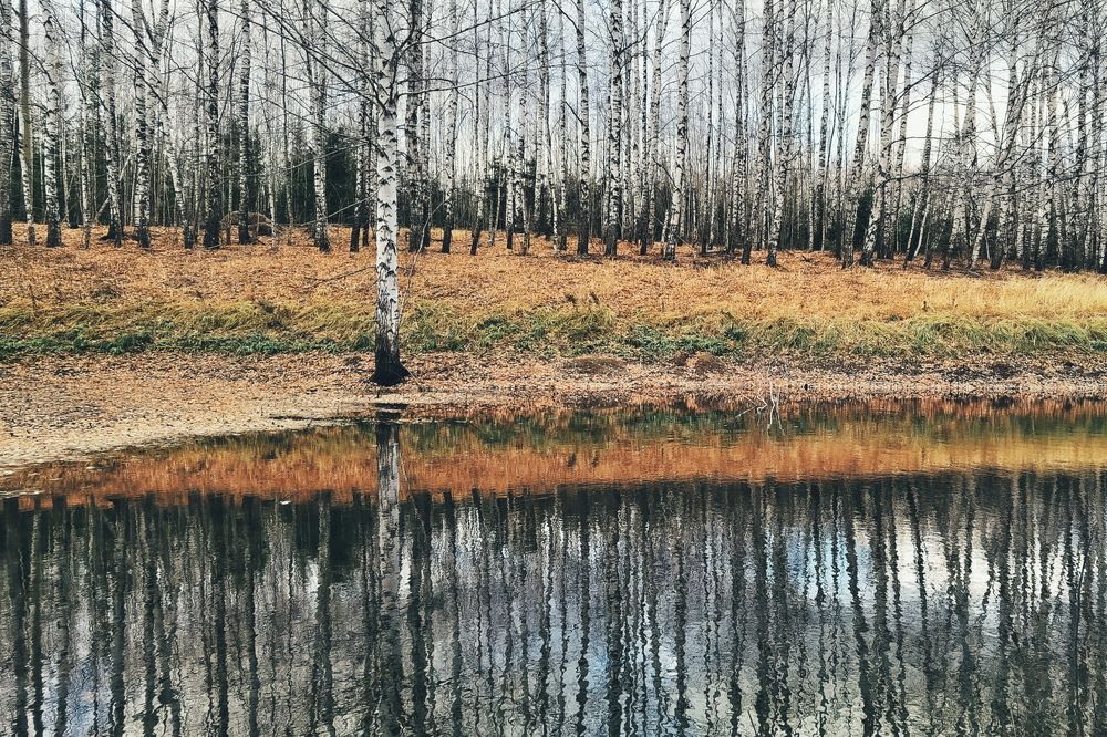 Photograph by Lera Zilbershtein