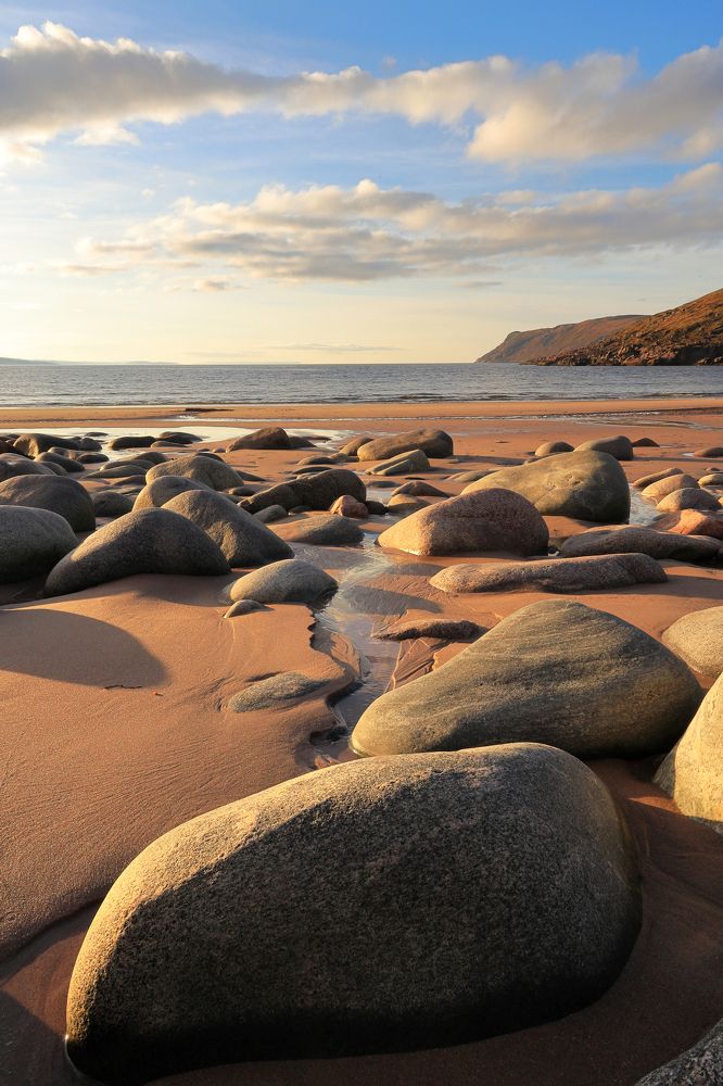Летний берег Баренцева моря.