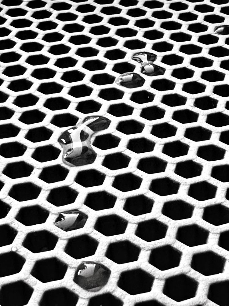 Фотография автора Юлия Носова