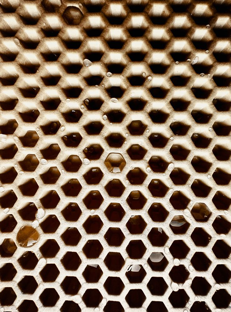 Фотография автора Юлия Носова