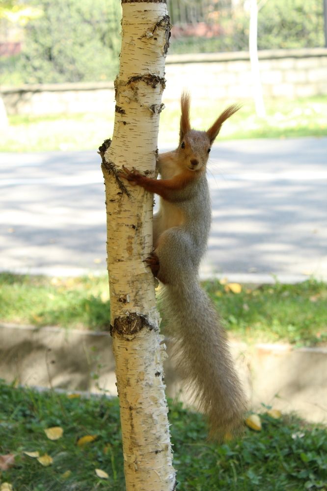 Photograph by Татьяна Леонтьева