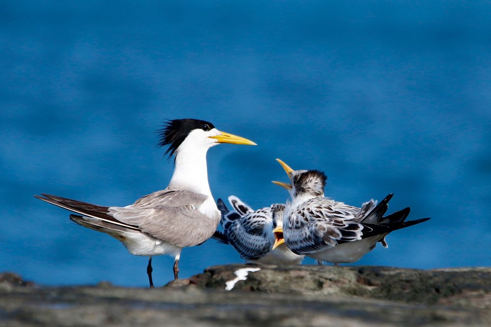 Photograph by  賴清淇