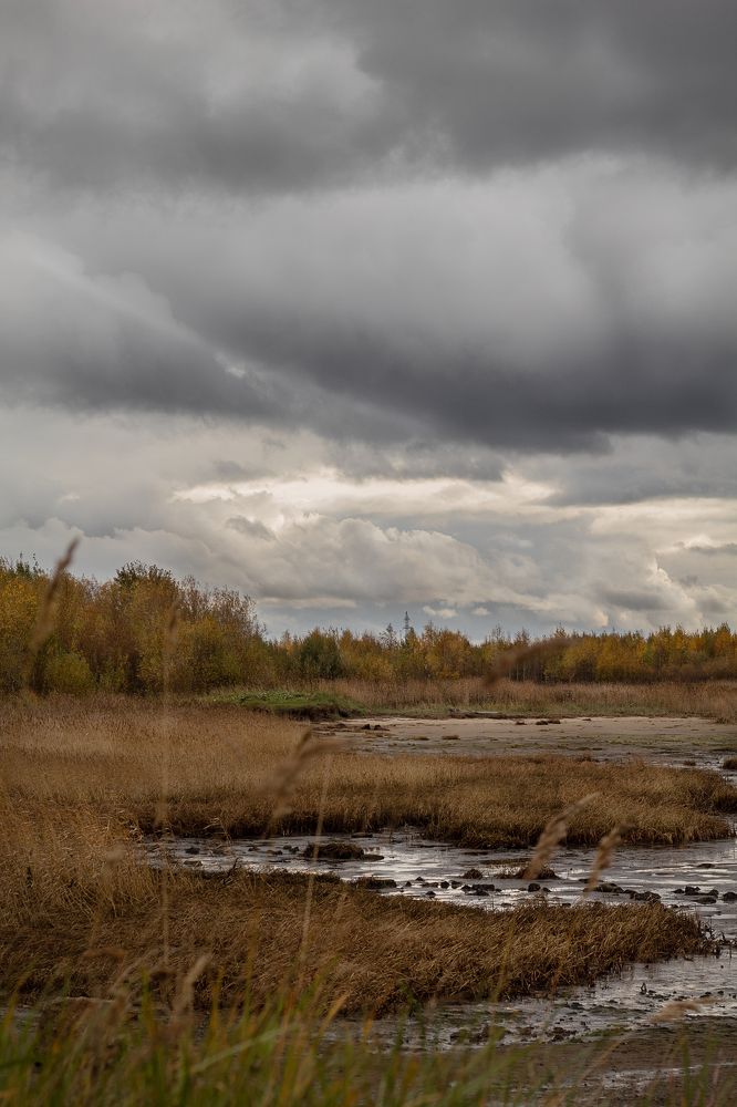 Фотография автора Анастасия Борская