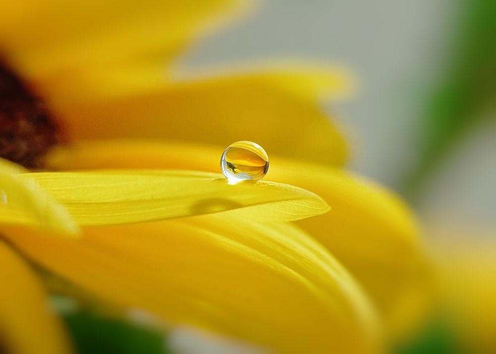 Photograph by NGUYEN LIEN