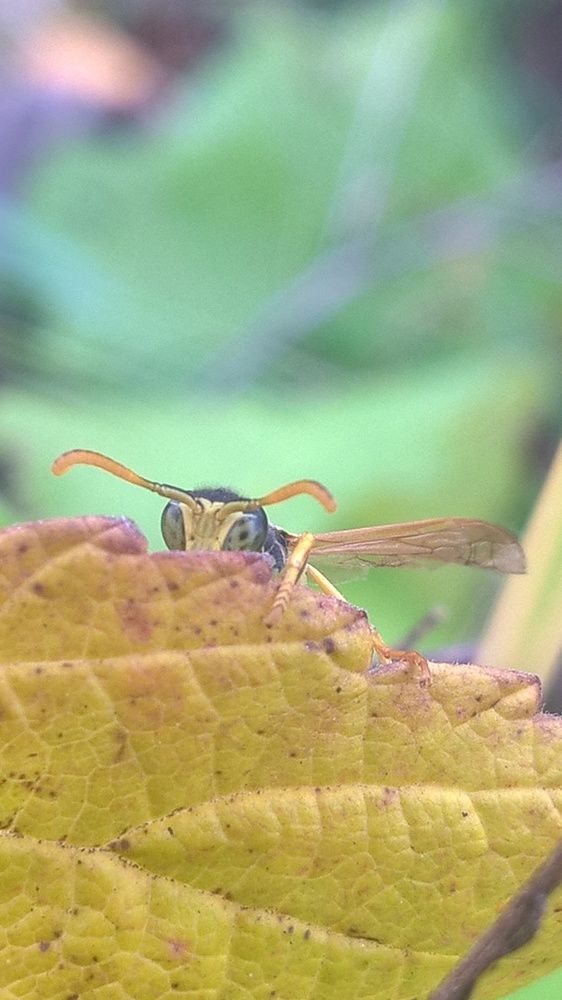 Photograph by Олеся Купча