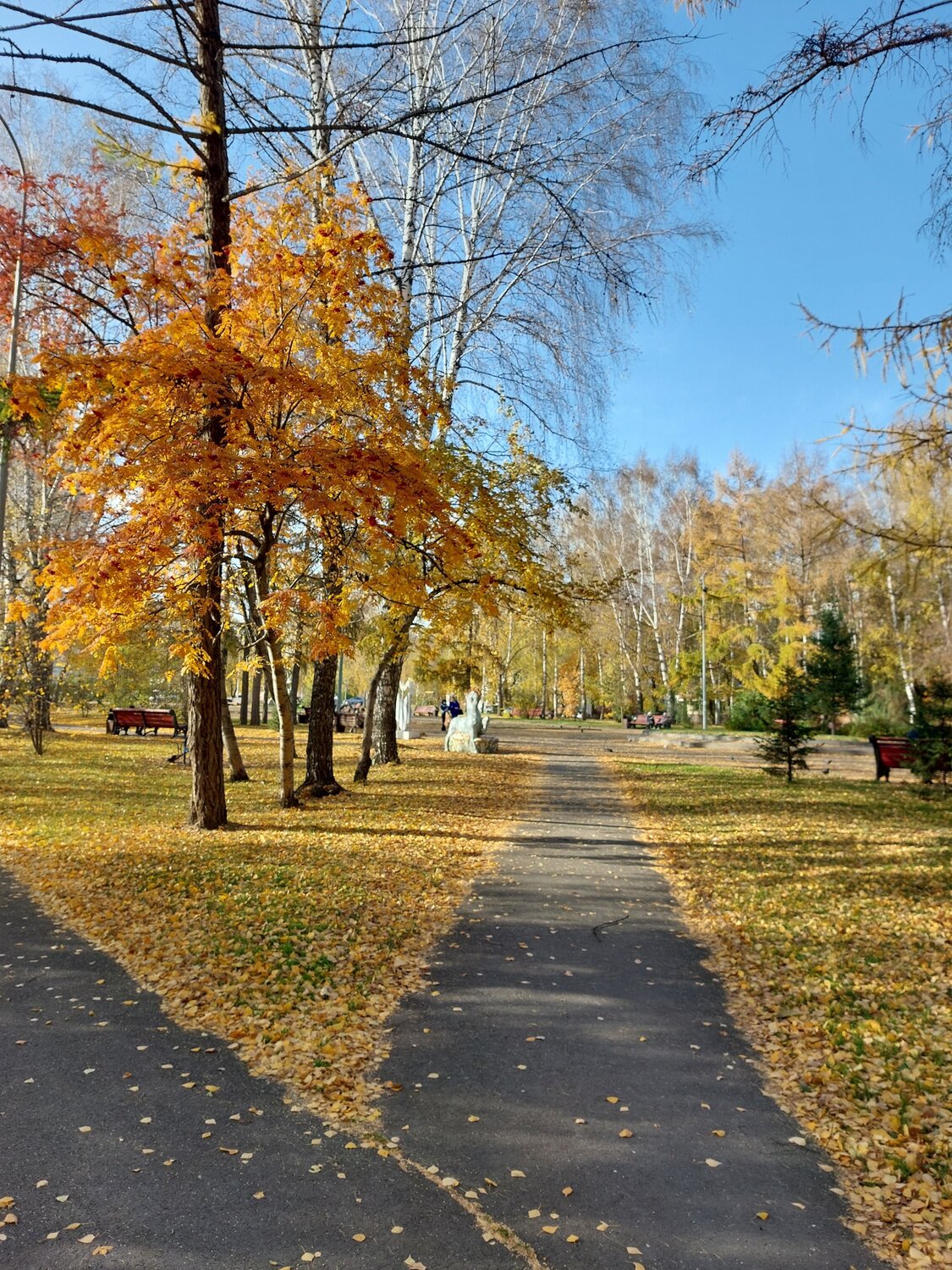 Photo #9705958