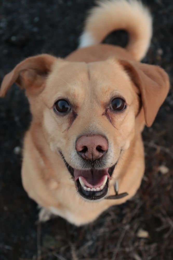 Photograph by Наталья Канарейкина