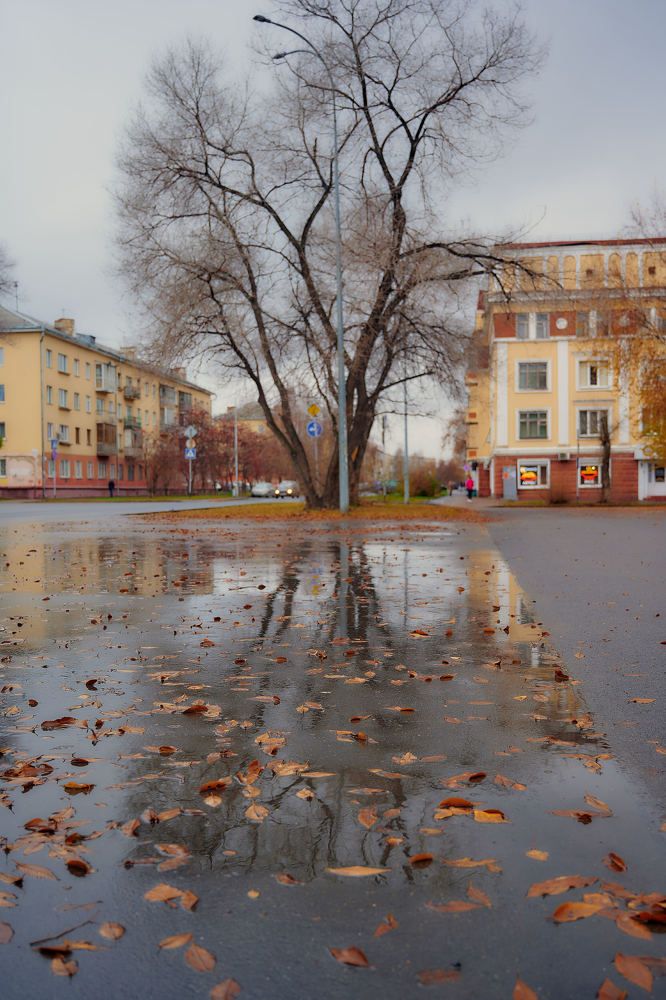Photograph by Владимир Малевич