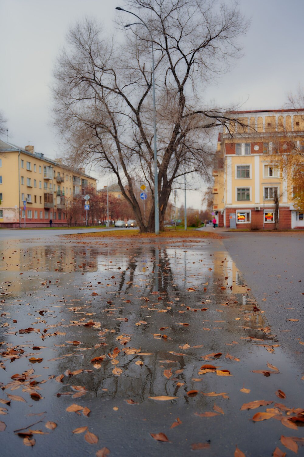Photo #9705965