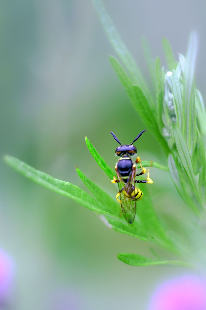 Photograph by Александр Соловьев