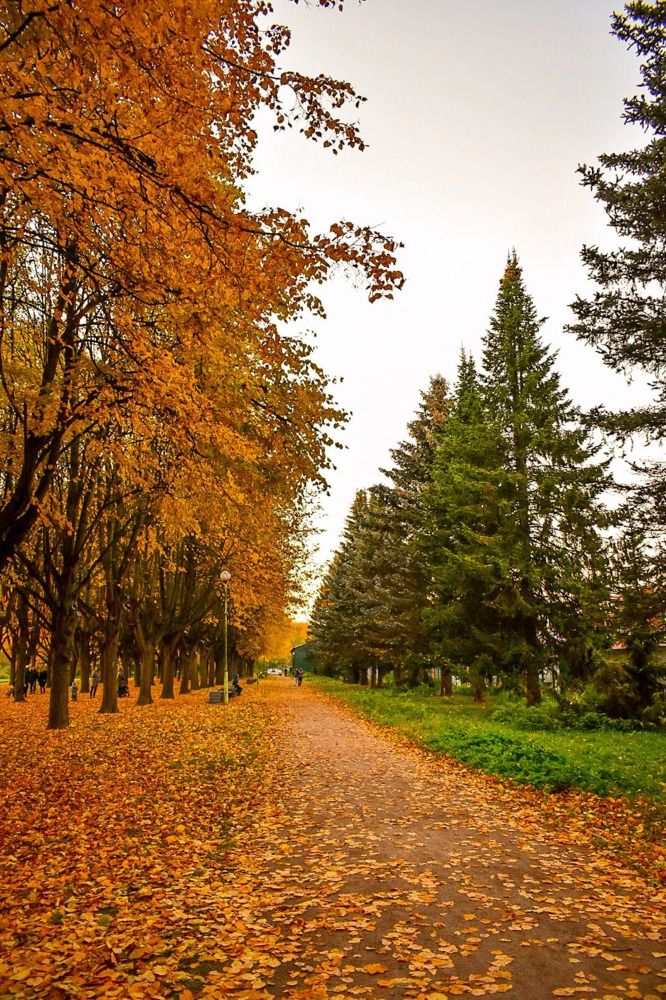 Photograph by Надежда Мякинина