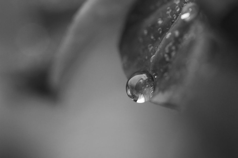 Фотография автора Кухта Мария