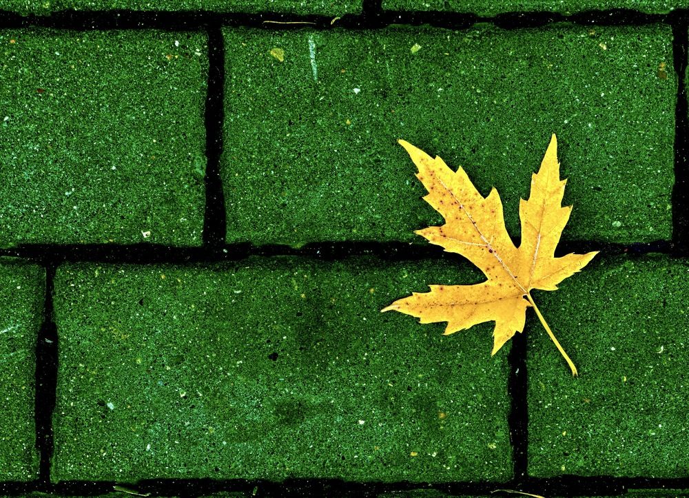 Photograph by Dmitry V. Petrenko