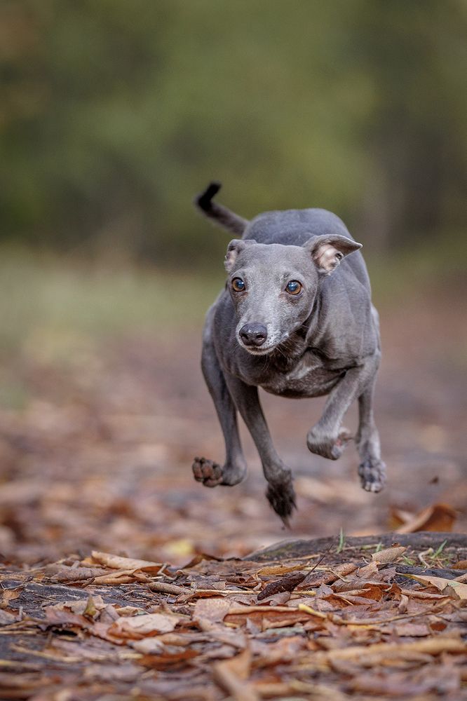 Photograph by Шитиков Владимир