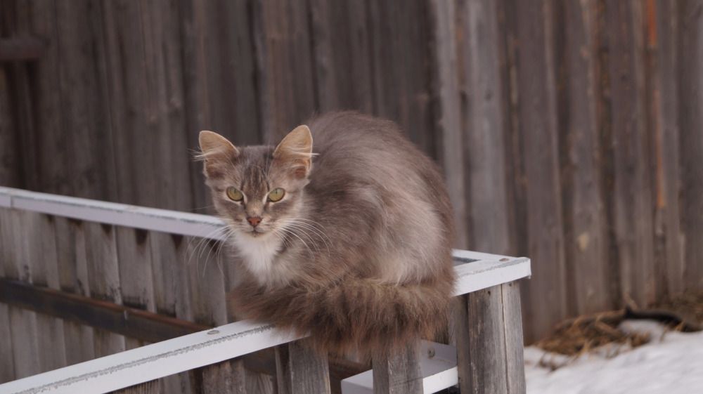 Photograph by Лиза Малыгина