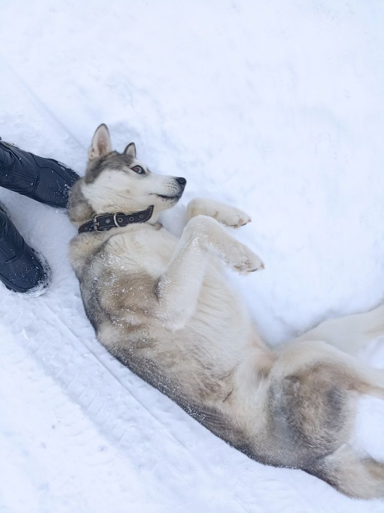 Photograph by Лиза Малыгина