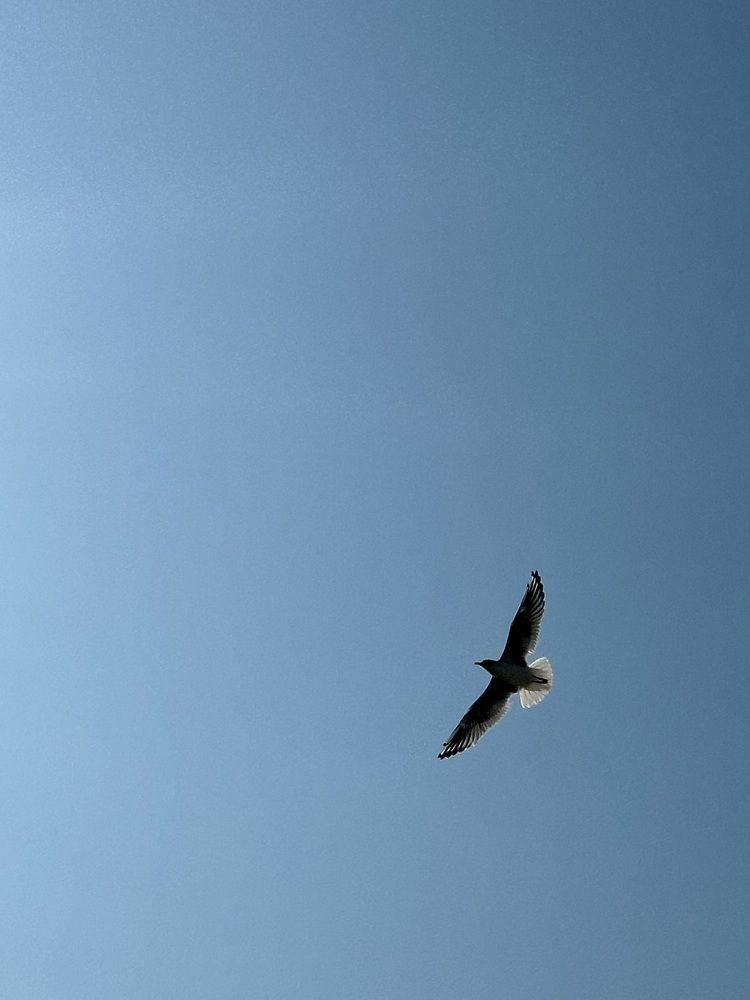 Photograph by Анастасия Волошина