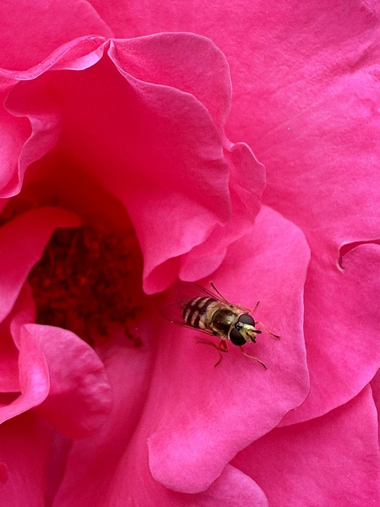 Photograph by Анастасия Волошина