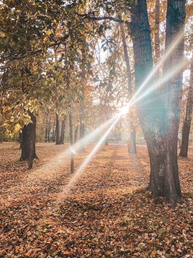 Photograph by Наталья