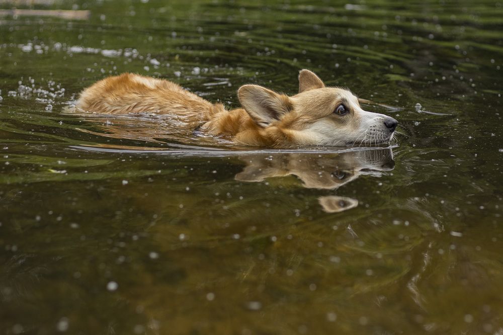 Photograph by Наталья Канарейкина