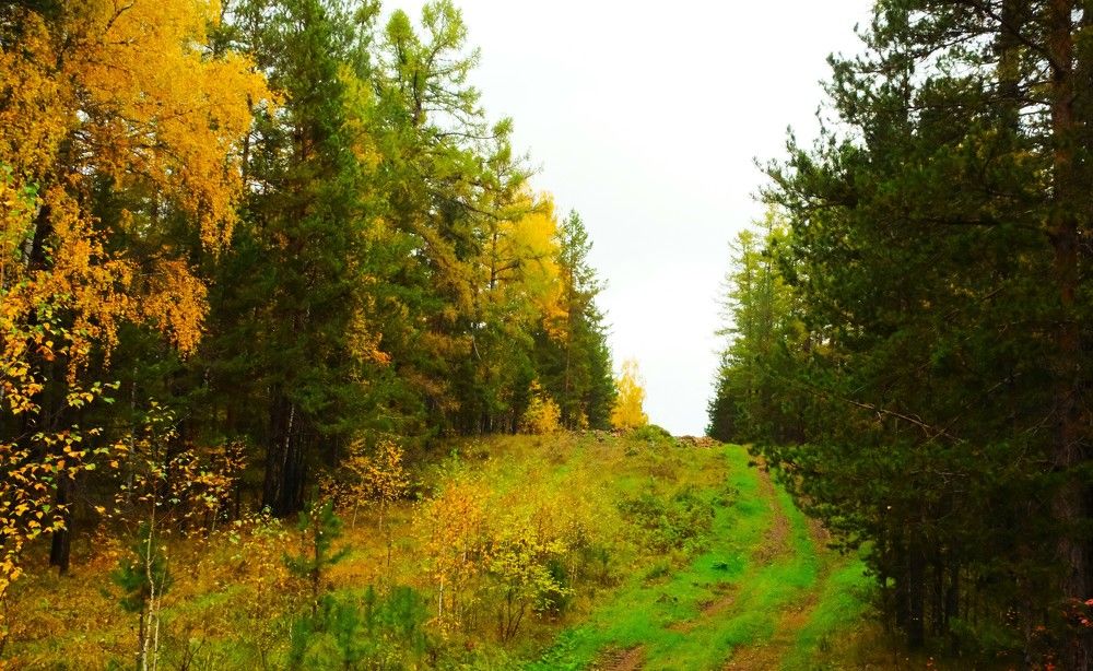 Photograph by Артём Воронин