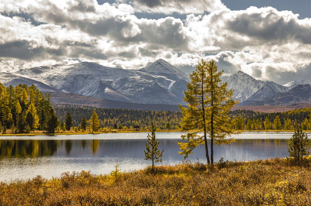 Photograph by Елена Павлова